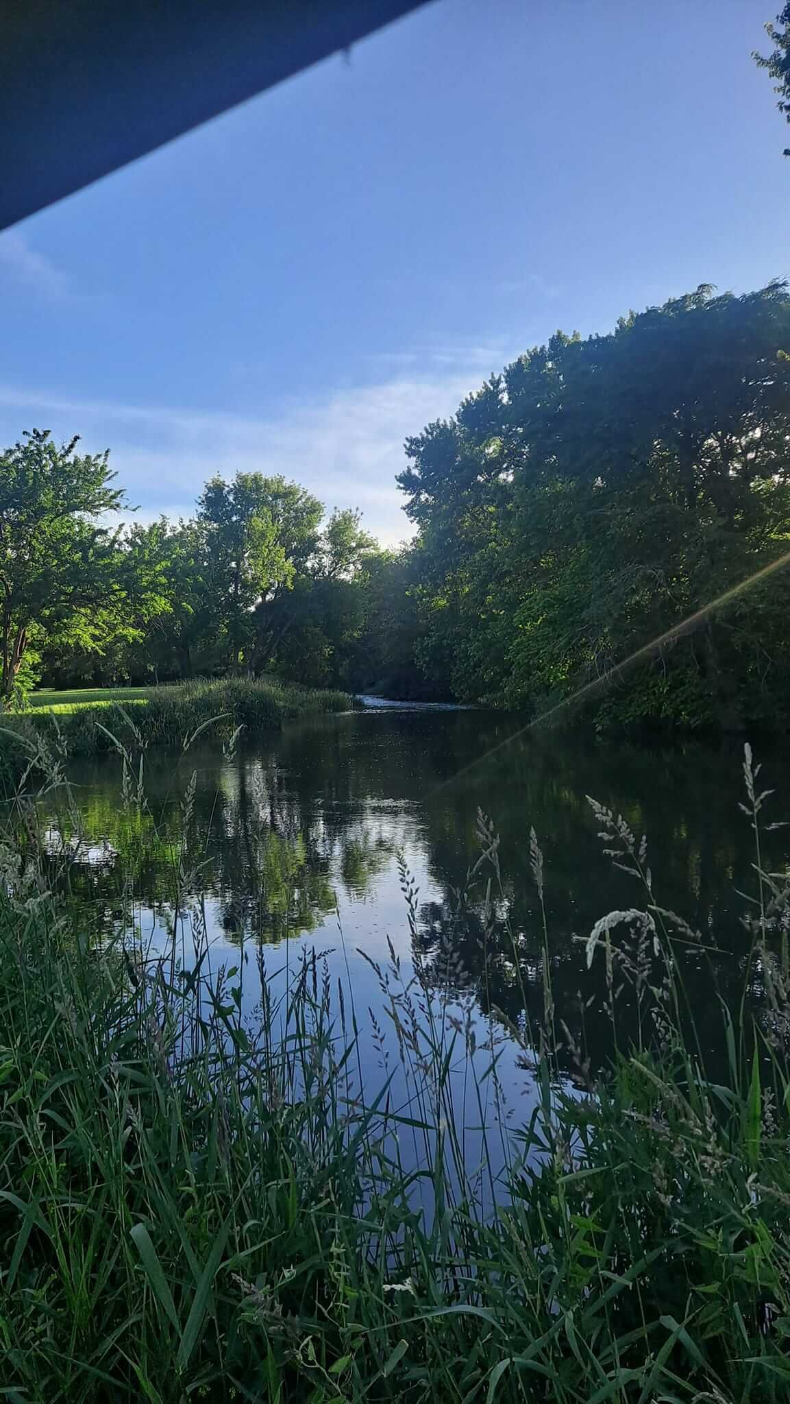 Peaceful creek at Camp Ziegenhorn reflecting trees and blue sky
