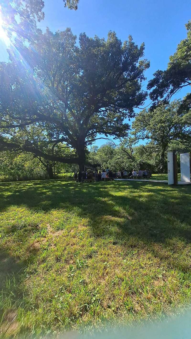 Outdoor gathering of guests under large oak trees at Camp Ziegenhorn