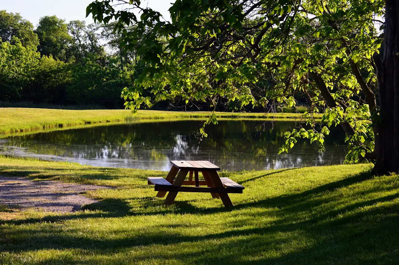 Scenic pond on the Camp Ziegenhorn property in Fairbury, Illinois