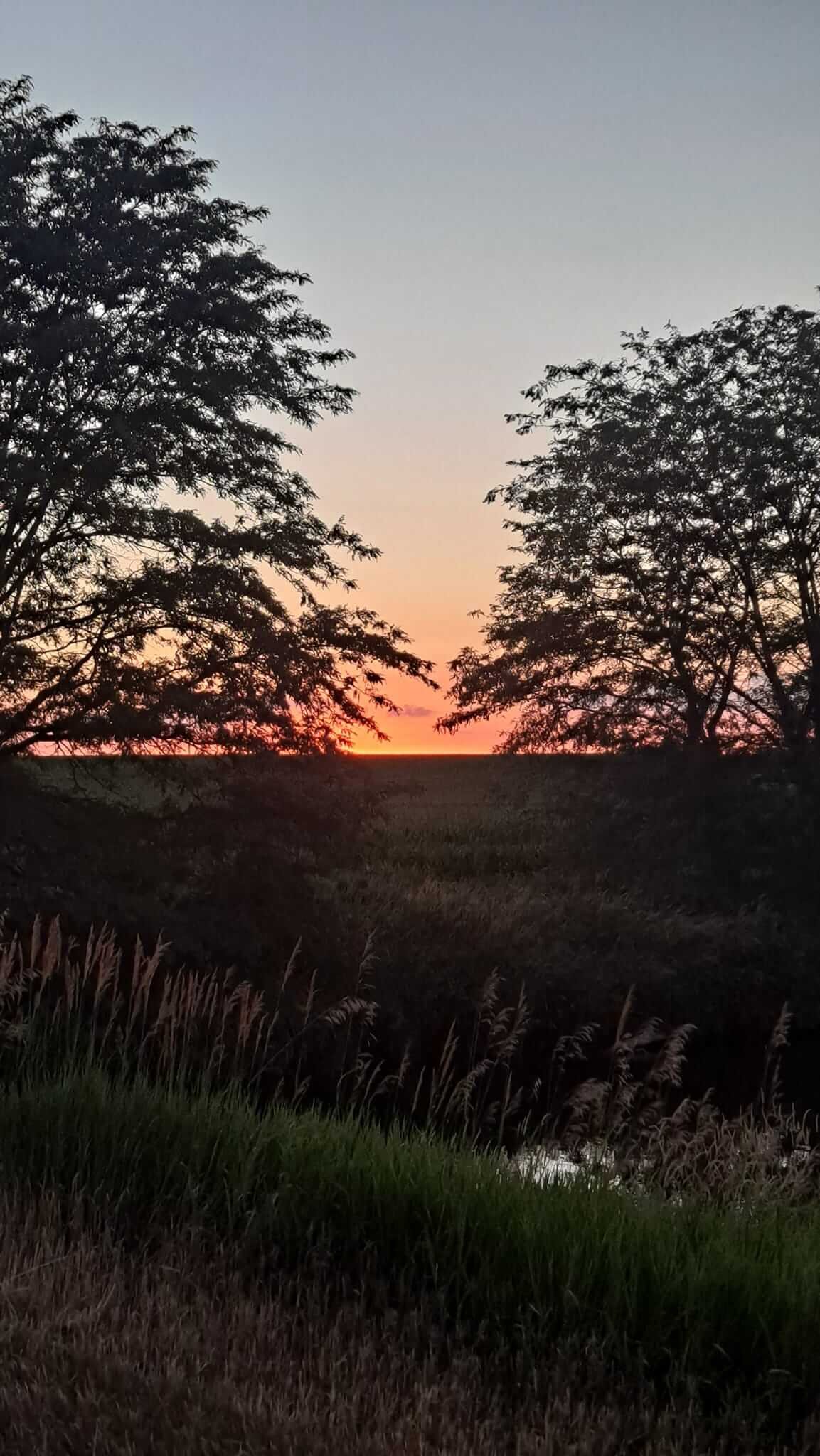 Brilliant orange sunset over the Camp Ziegenhorn property